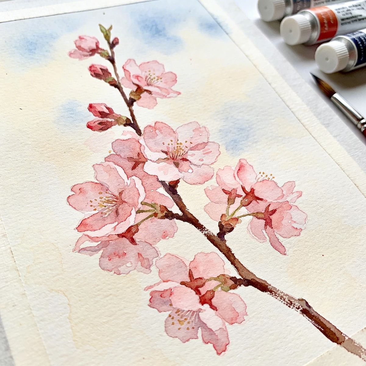 Watercolor painting of cherry blossoms — delicate pink petals on a branch with visible wet-on-wet washes