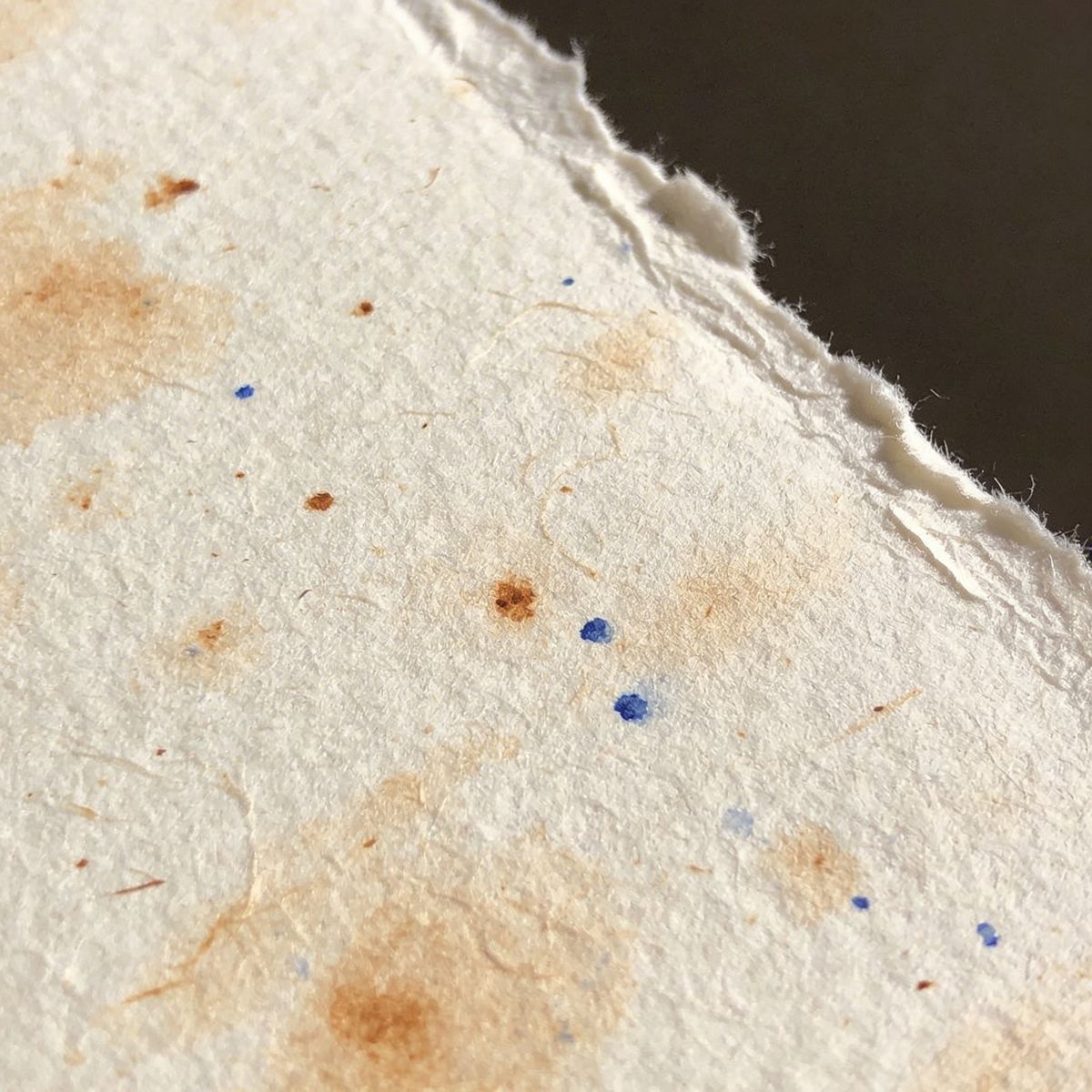 Extreme close-up of cold-pressed cotton rag watercolor paper — the irregular tooth and fibre structure visible, cream-white surface catching raking light